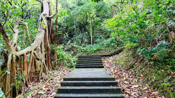 南港四小山。韓美磋2766469