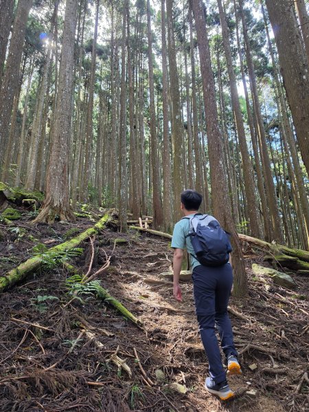 新竹五峰｜民都有山×民都有山北峰3117795