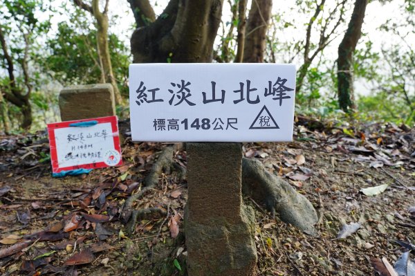 基隆 仁愛 紅淡山、金交椅山2714985