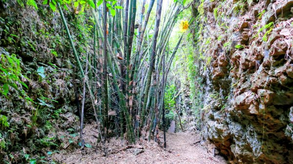 大崗山,盤龍峽谷2954522