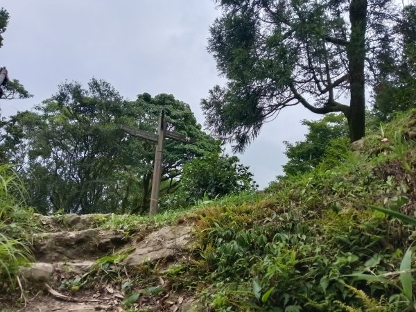 基隆市荖寮坑古道+十分古道(暖東舊道)+頂子寮山(嶺頭土地公)P字走2821564