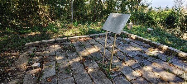 2025/11/22_大分林山步道2944205