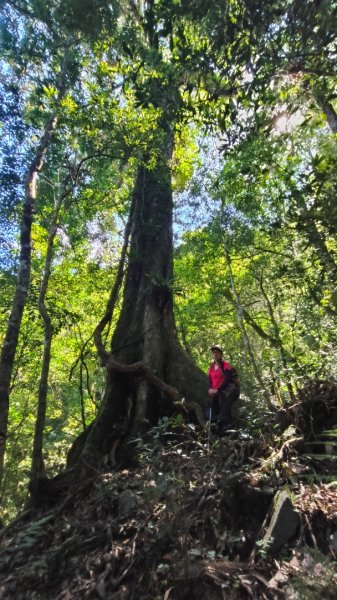 唐穗山11408162860925