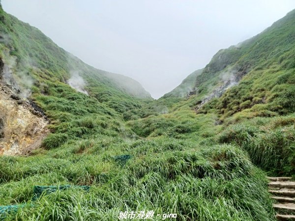 【台北北投】搭捷運公車爬山趣。 小百岳集起來。編號2小百岳~七星山步道1766568