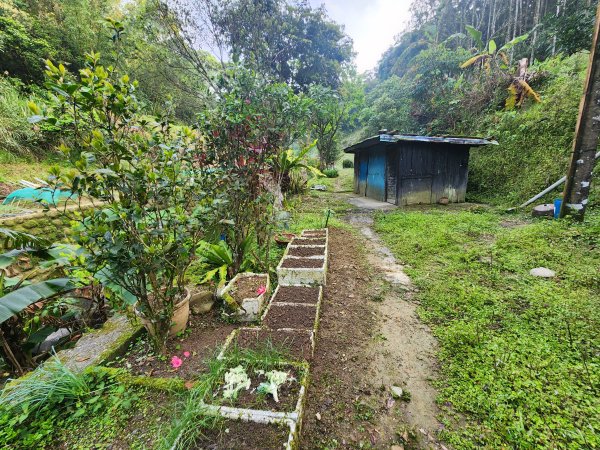 20250404雙十縱走失敗撤退改走蝙蝠山2892547