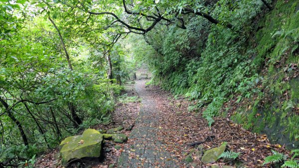 貂山古道,琉榔路觀光步道2590549