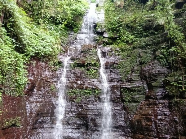 汐止區大尖山櫻花+秀峰瀑布O型3009367