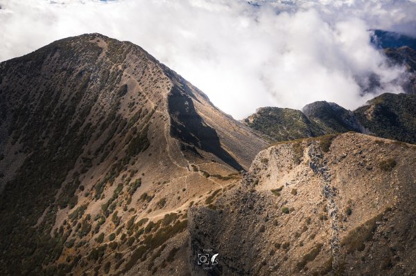 心映雪翠｜Mt.Xue｜Taiwan 785888