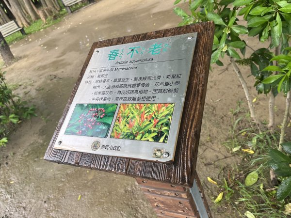 [全臺走路趣尋寶-33/100] 2024_0728_北香湖公園2560713