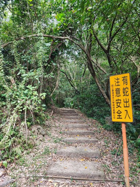 槓子寮砲台、槓子寮山步道(龍崗步道)-(基隆)臺灣百大必訪步道2248954