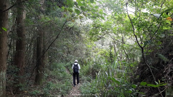 《苗栗》短美清幽｜二本松山丸田砲臺遺址及巨人之手202407202555127