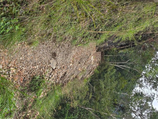 觀高山屋／龍貓公車／八通關山／八通關山西峰2927376