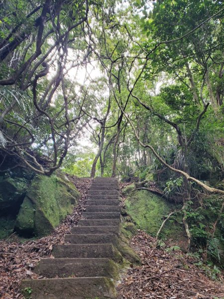 微笑山線：【五分山系】平溪小黃山段2839531