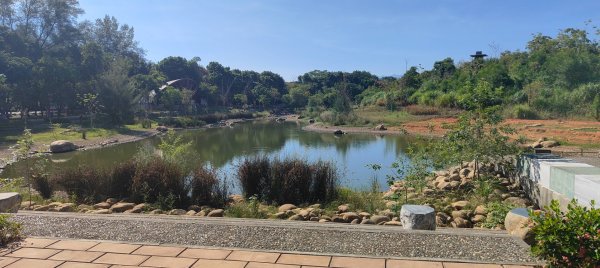 大湳森林公園2910962