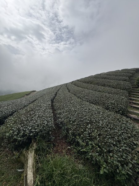 20251024雲嘉五連峰+碧湖山2924235