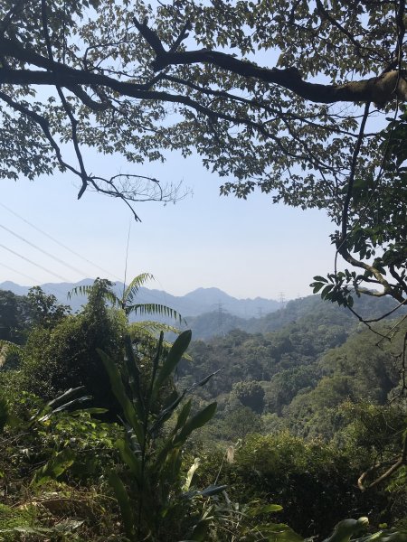 悠遊溪洲山~頭寮山1279935