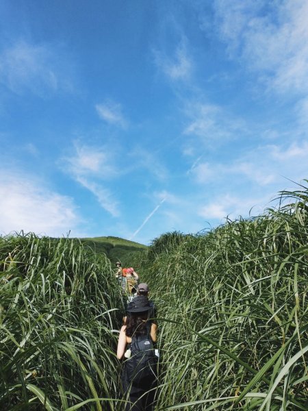 大屯山O型|一起來走陽明山縱走西段1004979