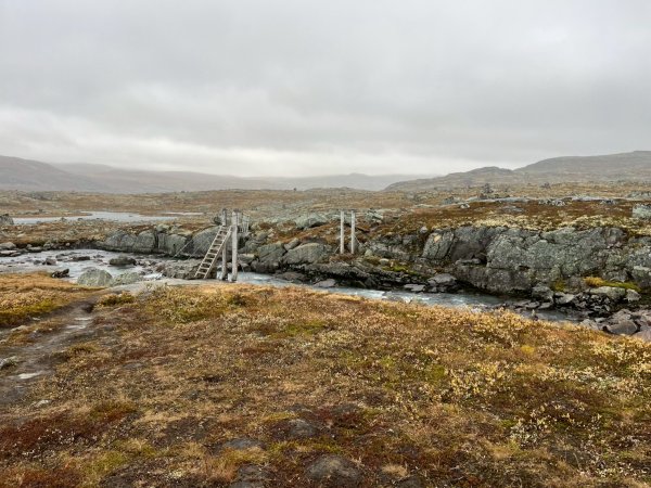Norway-FINSE-Hardangervidda冰河高原健行-未竟2917787