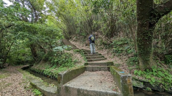 112.04.29走遍陽明山尋寶任務之坪頂古圳步道2137393