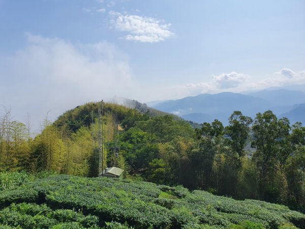 【雲嘉】連峰茶道之美1717463