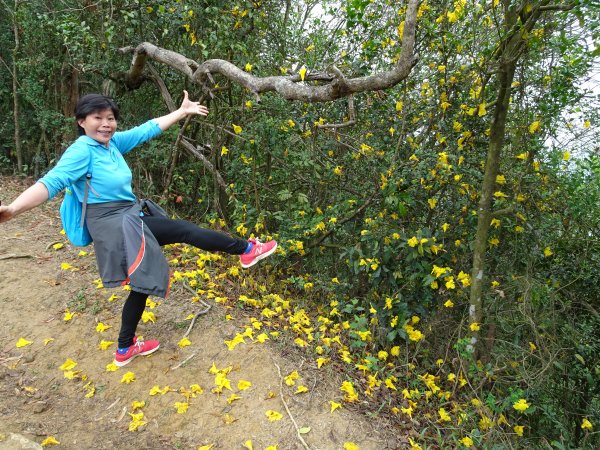 台灣小百岳第72座高雄旗山旗尾山之三角點551169