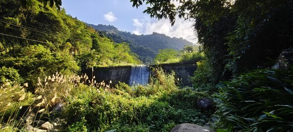 北埔一日遊(冷泉步道+大分林山+老街)-2025/12/14