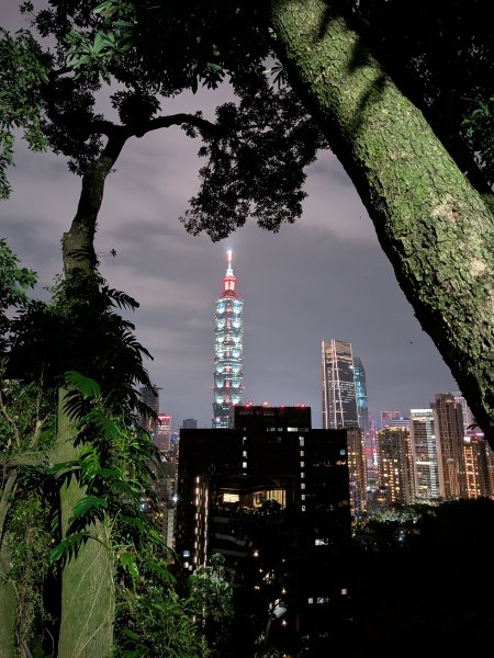 2025-05-19 象山夜景2793919