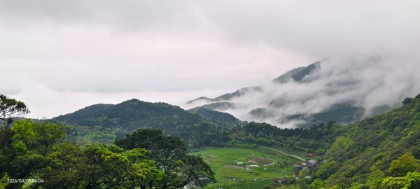 陽明山追雲趣 #天空之城 #石門嵩山梯田 #鳶尾花 #老梅綠石槽 4/5-63030185
