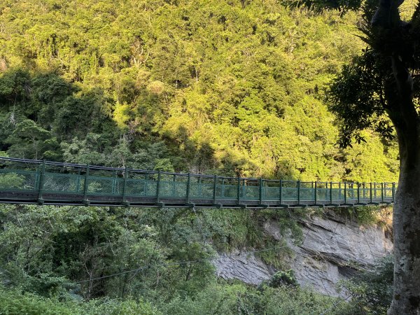 [玉山尋寶任務-03/12] 2025_0810 瓦拉米步道2857386