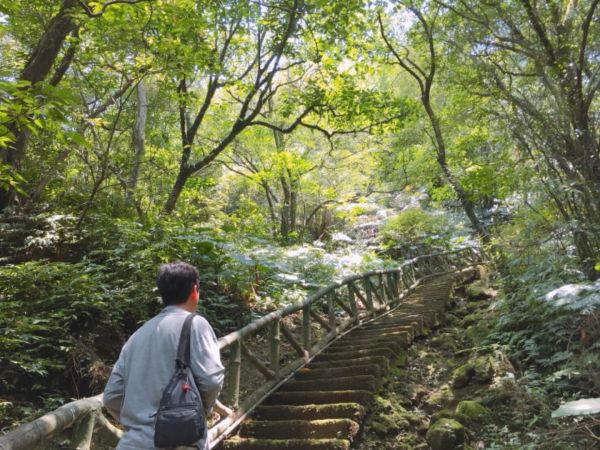 逸仙山登山步道331272