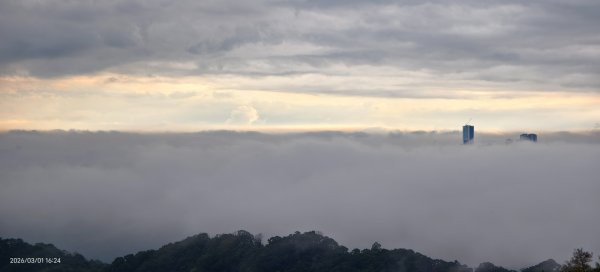#雲瀑 #雲海 #琉璃光 #天空之城（林口）#觀音山 #林梢步道 3/13008588