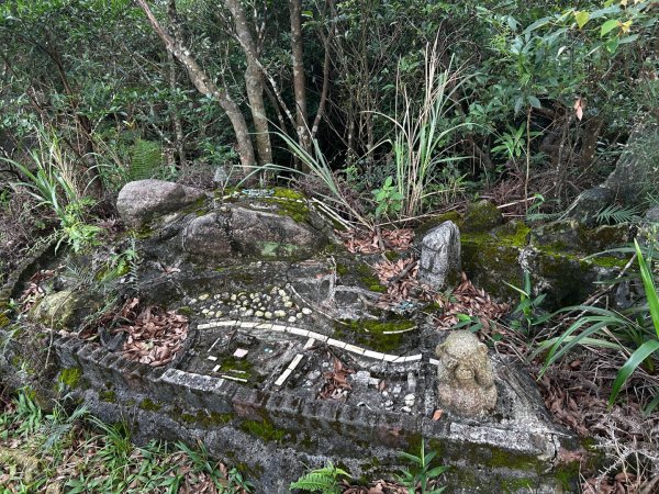 內湖鯉魚山之旅2811725