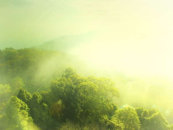 苗栗--薑麻園步道7481