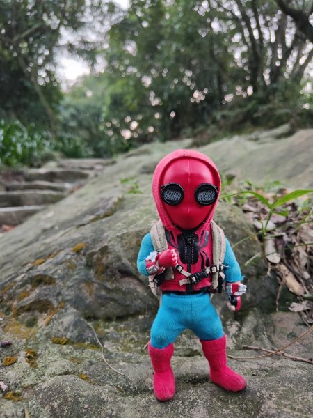 2023.12.08 南勢角山2695825