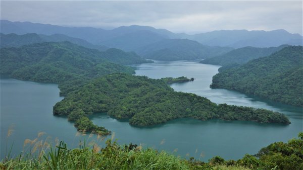 春之茶香花果處處開的石碇小格頭鱷魚島千島湖O型1688744