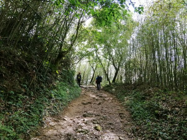 台南白河~台南第一高峰。 關仔嶺大凍山917804