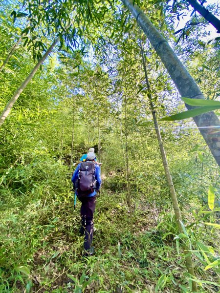 台中和平登觀音山東北峰.神谷山.遠藤山東峰.竹林.達觀山    2022/6/291749916