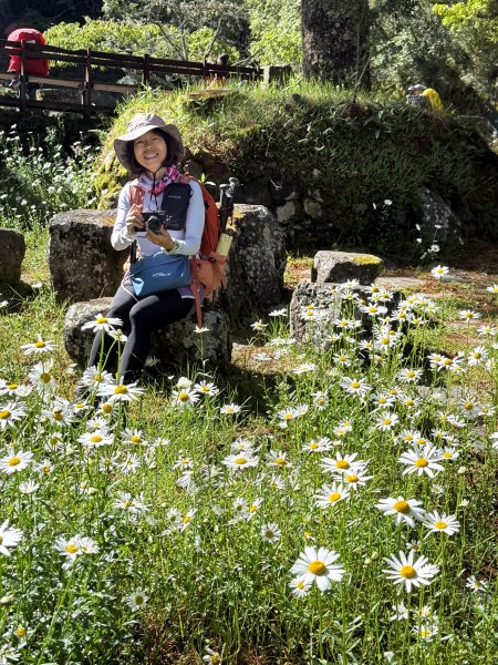 塔塔加楠梓仙溪林道 202506222827101