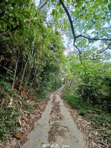 【高雄甲仙】沒有朵朵白雲。 小百岳集起來。 編號69小百岳-白雲山步道1713229