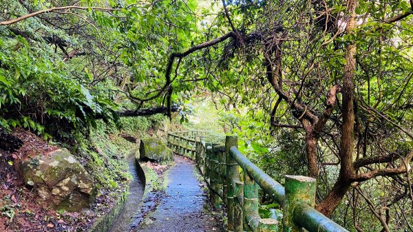 新北石門|老梅溪青山瀑布步道|台版奧入瀨溪|夏日消暑秘境|清涼親子景點1975455