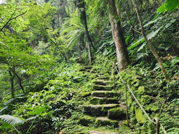 五指山橫向登山步道×猴洞步道一線天3060551