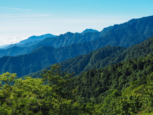 [百岳]能高越嶺逆走與奇萊南峰1042787