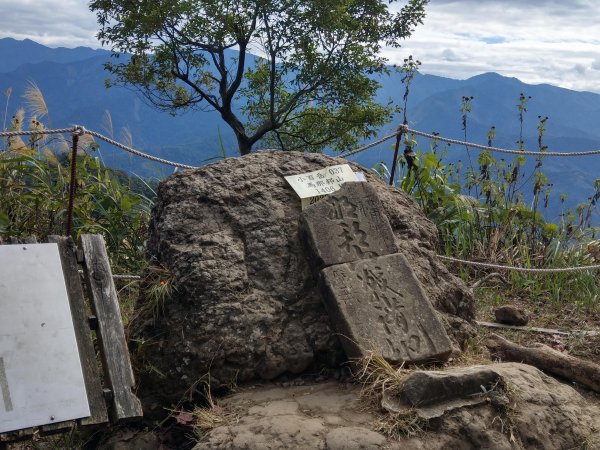 馬那邦山(小百岳#37)登山步道。點點楓紅 2020/12/131425318