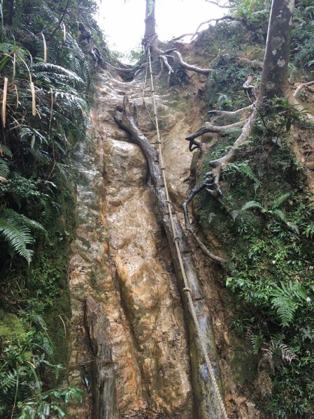 雨神山友：終於中籤的北插天山539957