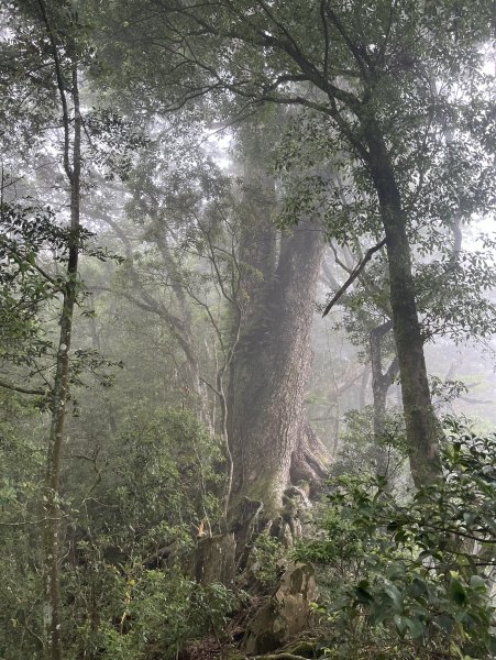 2025_0622 霞喀羅大山2819203