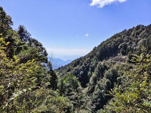 20260215台中南投裡冷尾敏山，又稱王辨山3000590