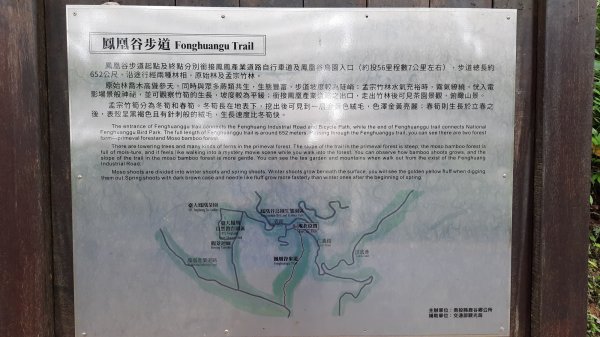 《南投》秘境步道｜鹿谷鳳凰谷步道+萬年亨衢202209241854461