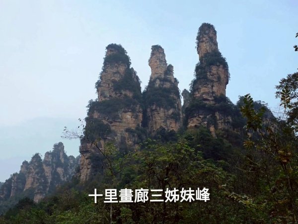 2025/11/8-10張家界園區2939348