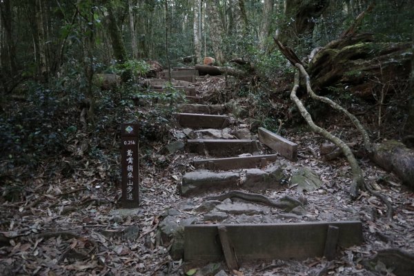 《台中》鳶嘴捎來701804