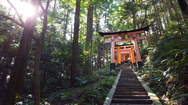 【日本】京都。稻荷山1432291